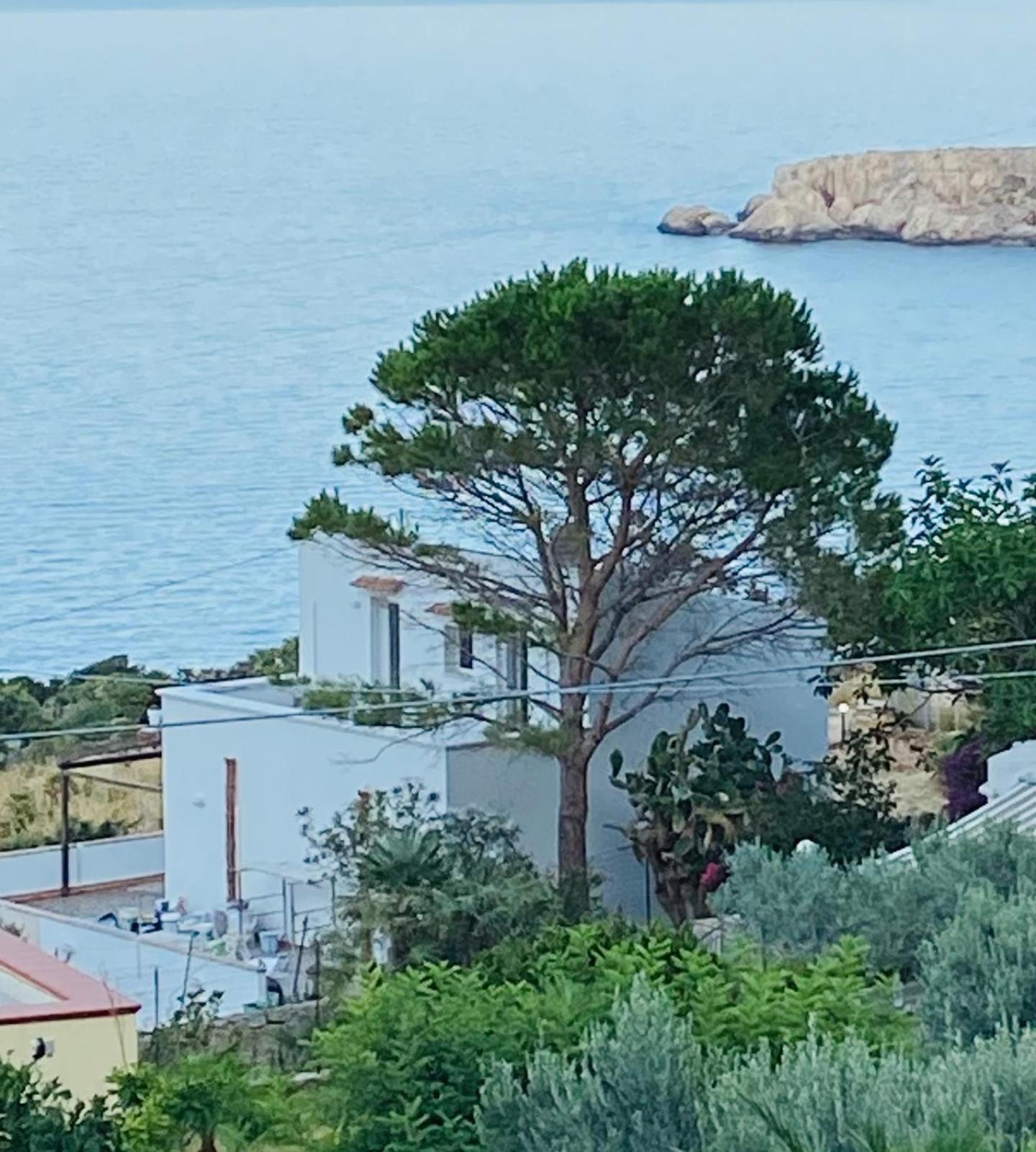 Villa Costanza Сан Вито ло Капо Екстериор снимка